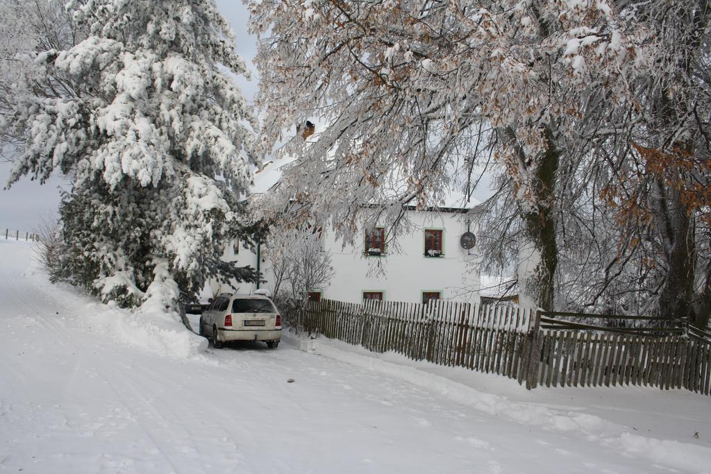 Apartamento Apartmán Hořice na Šumavě Exterior foto