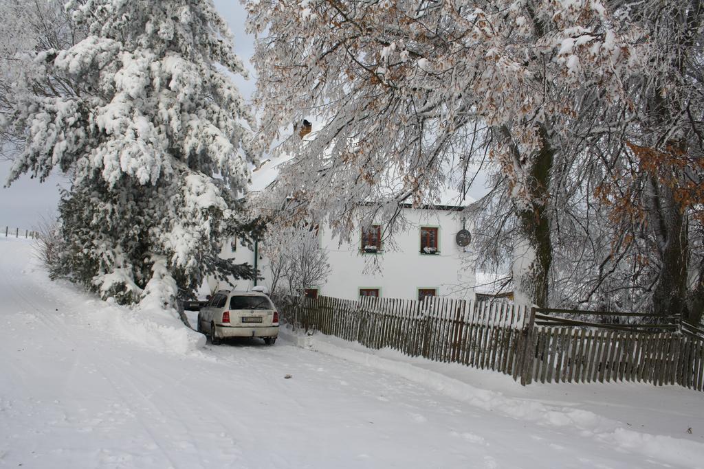 Apartmán Hořice na Šumavě Exterior foto